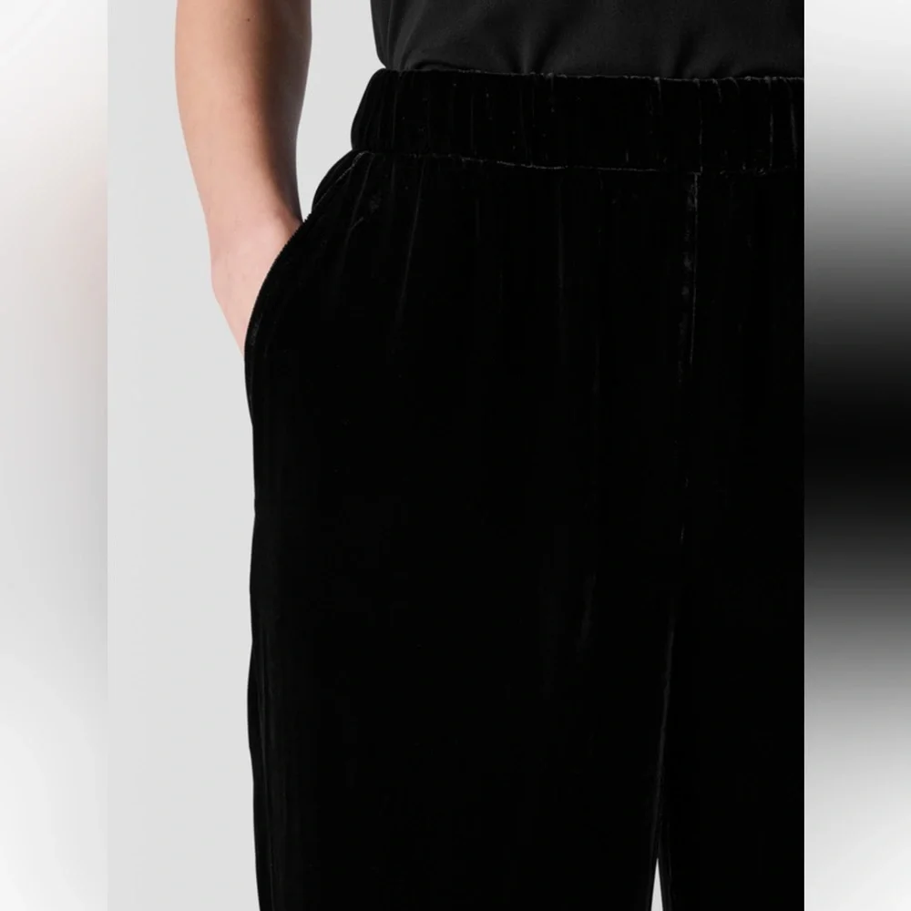 A19 Eileen‎ Fisher Velvet Tapered Pant